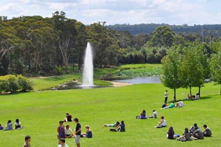 на кампусе Macquarie University 